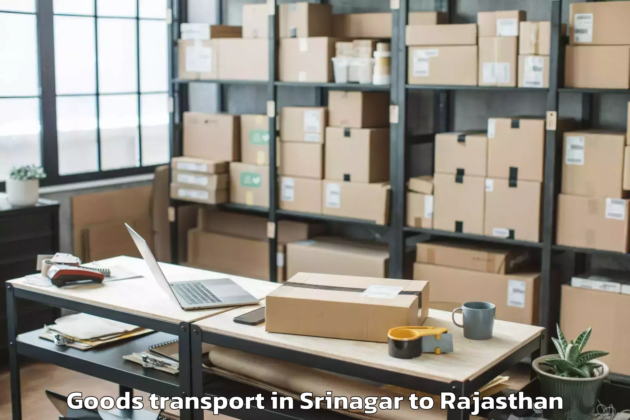 Book Your Srinagar to Banswara Goods Transport Today